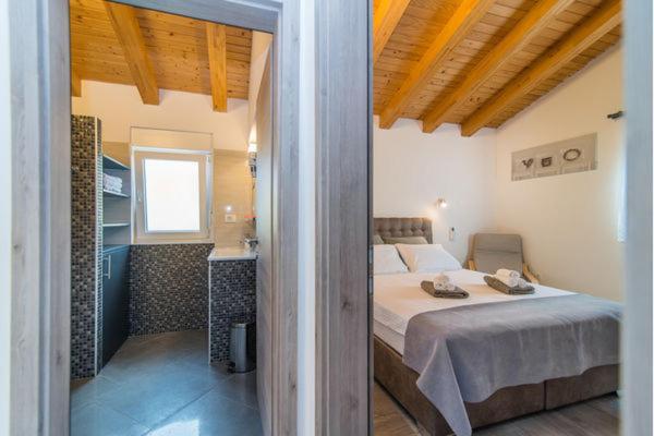 Villa Silver Novigrad With Private Pool エクステリア 写真