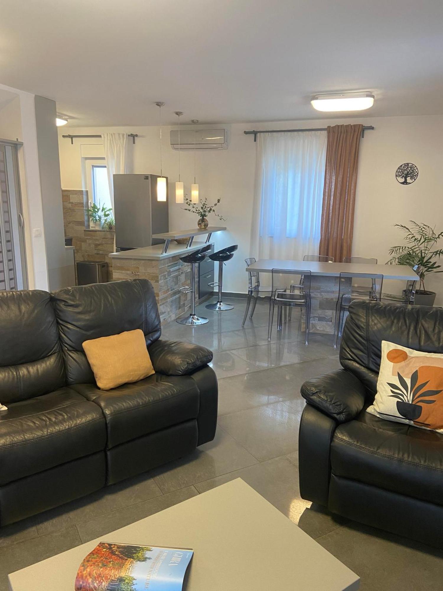 Villa Silver Novigrad With Private Pool エクステリア 写真